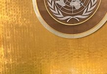 Forum Chair statement to the UNGA76 “International Day for the Total Elimination of Nuclear Weapons” plenary