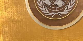 Forum Chair statement to the UNGA76 “International Day for the Total Elimination of Nuclear Weapons” plenary