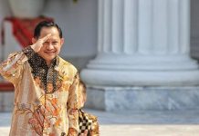 Four Papuan districts can form South Papua Province: Indonesian Home minister