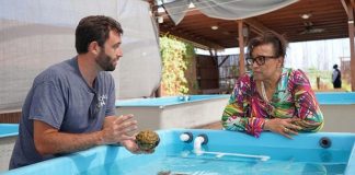 Commonwealth to champion climate-vulnerable small states at COP26