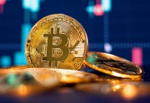 Bitcoin dream brewing in Tonga