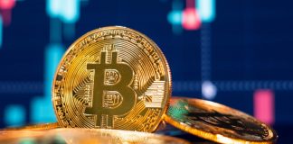 Bitcoin dream brewing in Tonga