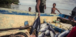 WTO Fish talks ignore SDG14