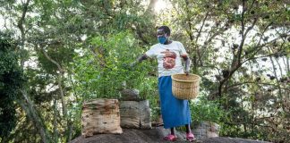 UN chief calls for bold action to end ‘suicidal war with nature’