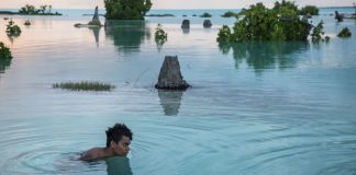 Legal implications of sea level rise for Small Island States explored in New World Bank study