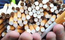 OCO and WHO Stand Against Illicit Trade of Tobacco