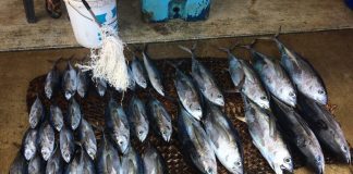 Depleting fishing grounds and the need to practice sustainable fishing at Titiana