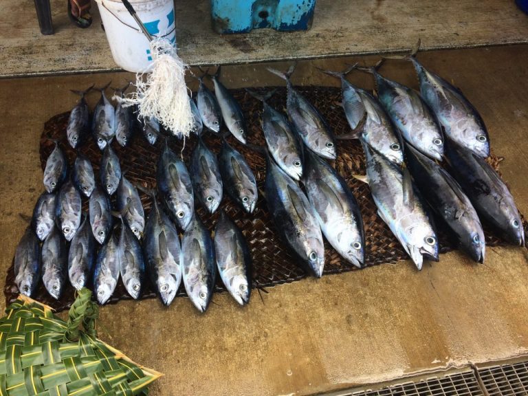 Depleting fishing grounds and the need to practice sustainable fishing at Titiana