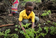 Climate action: ‘Time is running out’, UN chief tells ministers