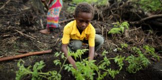 Climate action: ‘Time is running out’, UN chief tells ministers
