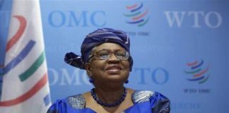 WTO: General Council decides to postpone MC12 indefinitely