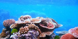 New funding for improving access to blue climate finance
