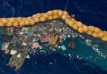 Great Pacific Garbage Patch now ‘an immense floating plastic habitat’
