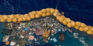 Great Pacific Garbage Patch now ‘an immense floating plastic habitat’