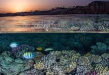 COP26 defined by ‘reinvigorated multilateralism’