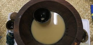 Pasifika critical of proposed changes to kava regulation