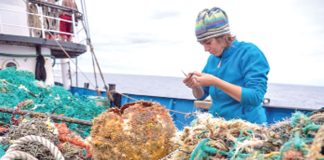 Pacific Ocean garbage patch is immense plastic habitat