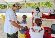 French Polynesia vaccination law endorsed by Paris court