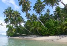 Fiji government addresses plan to rip up reef