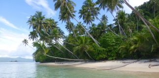 Fiji government addresses plan to rip up reef