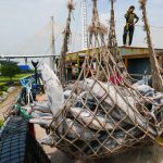 Tropical tuna measure, albacore, compliance monitoring and labour standards head FFA priorities for WCPFC18