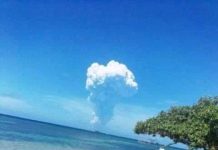 Undersea volcano sends plume of steam into the skies near Tonga