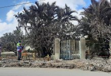 UK aid heads to Tonga as Pacific nation continues the clean-up after eruption and tsunami