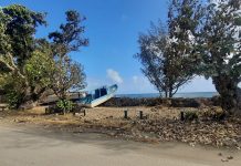 Tongan government says 85 percent of population impacted by ash fall and tsunami after volcanic eruption