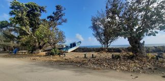 Tongan government says 85 percent of population impacted by ash fall and tsunami after volcanic eruption