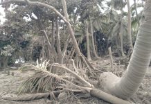 UN coordinator in Tonga: ‘Resources on the ground are not enough’