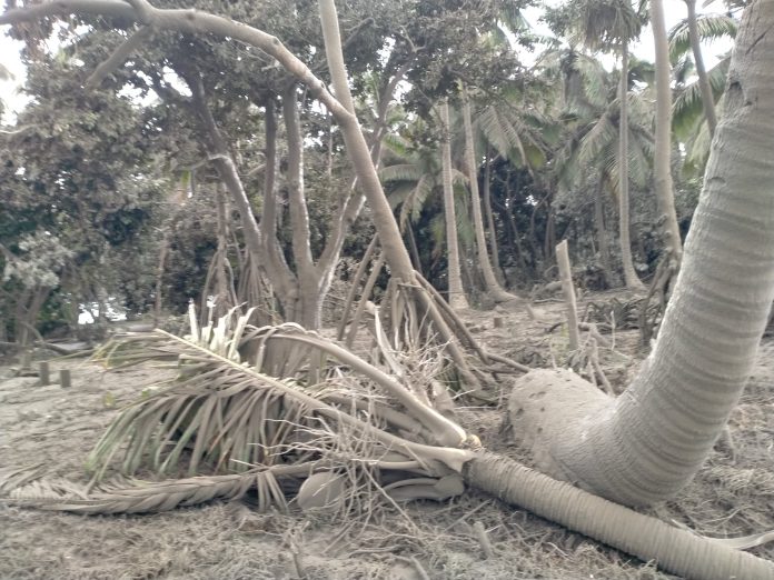UN coordinator in Tonga: ‘Resources on the ground are not enough’