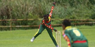 Vanuatu Cricket high performance manager resigns