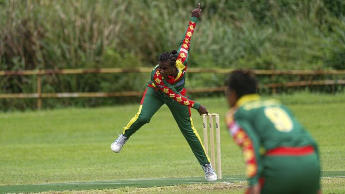 Vanuatu Cricket high performance manager resigns