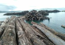 Isabel landowners fight for ownership over Tubi logs
