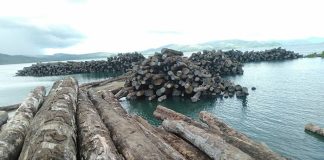 Isabel landowners fight for ownership over Tubi logs