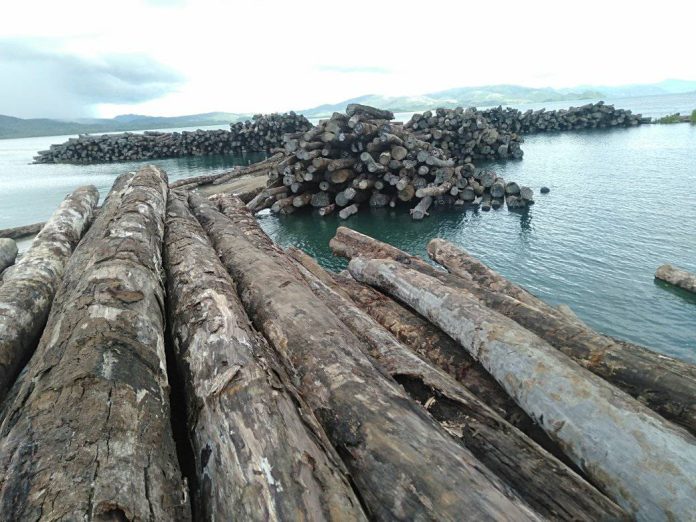 Isabel landowners fight for ownership over Tubi logs