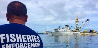 Illegal fishing in Pacific much lower than 2016 level, says report