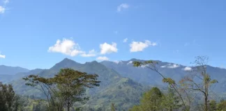 Amalgamated Telecom Holdings On the Cusp of Papua New Guinea Greenfield Project