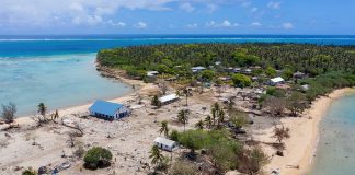 Half of Tonga’s tourism businesses ‘won’t return’ after tsunami, lockdown