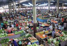 Cash transfers prove ‘life-saving’ during COVID crisis in Fiji