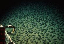 Seabed mining equity dilemmas in the Pacific