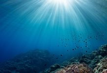 Teaching key to better ocean protection, says UNESCO chief