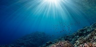 Teaching key to better ocean protection, says UNESCO chief