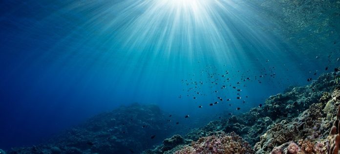 Teaching key to better ocean protection, says UNESCO chief