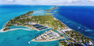 Over 600 cases in Kiribati as Health Minister says just ‘tip of the iceberg’
