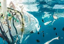 Pacific islands prepare for UNEA 5.2, marine and plastic pollution targeted
