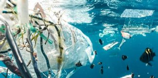 Pacific islands prepare for UNEA 5.2, marine and plastic pollution targeted