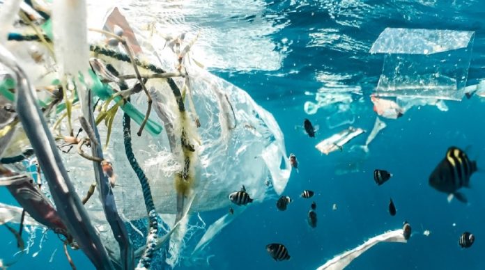 Pacific islands prepare for UNEA 5.2, marine and plastic pollution targeted