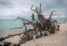 New environmental report offers solutions for ‘triple planetary crisis’