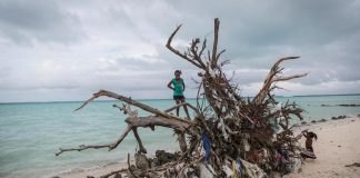 New environmental report offers solutions for ‘triple planetary crisis’